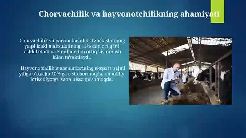 Chorvachilik va chorvachilik 4