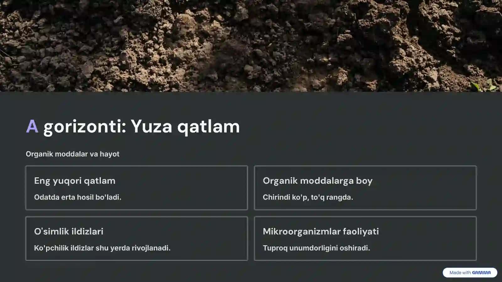 Tuproq qoplamining tuzilishi 4