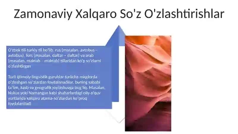 Oʻzbek tilining leksik qatlamlari 4