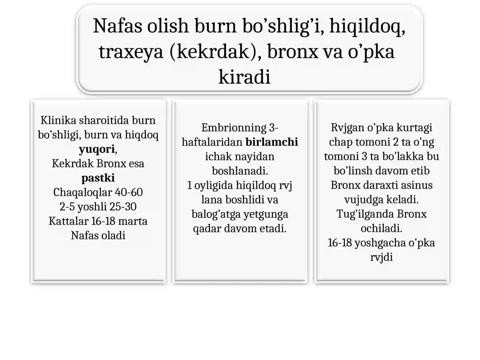Nafas olish 4