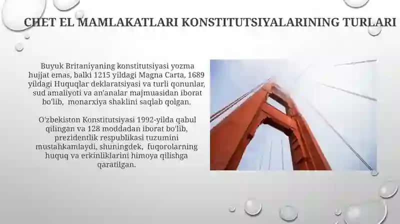 Chet el mamlakatlari konstitutsiyalarining shakllari turlari va tuzilishi 4