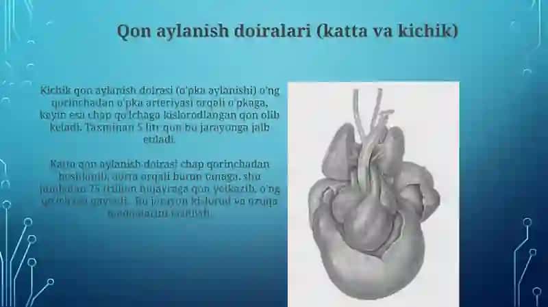 Bor yoki yoʻq qonuni 4
