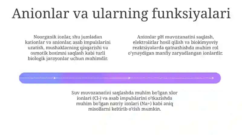 Noorganik ionlar, ularning funksiyalari 4