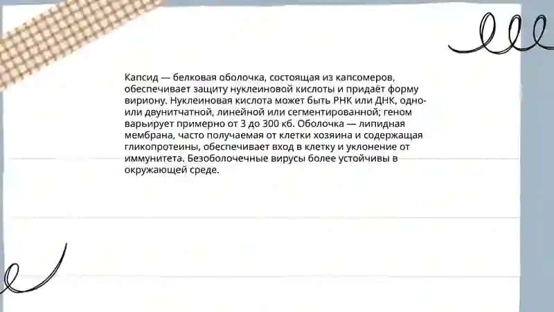 Что такое вирус 4