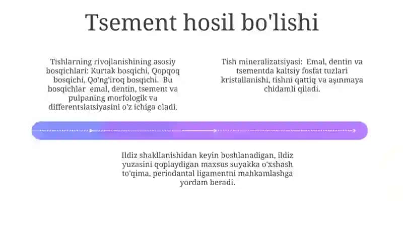 Tishlar rivojlanish bosqichlari 4