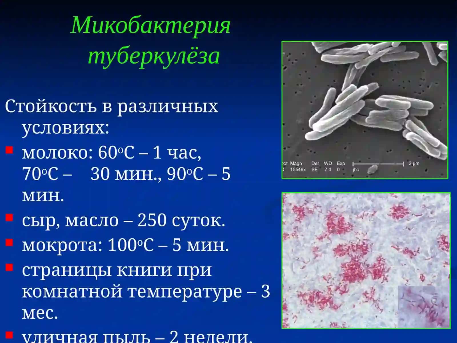 Туберкулёз.Воздушно-капельные инфекции 4
