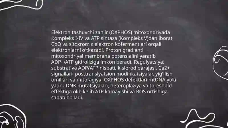 Mitoxondrial bioenergetika va ATP sintezi mexanizmi 4