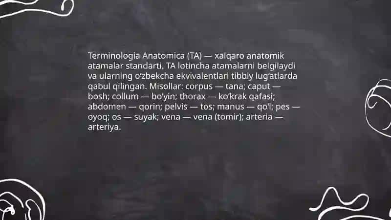 Anatomik iboralarning tarjimasi 4