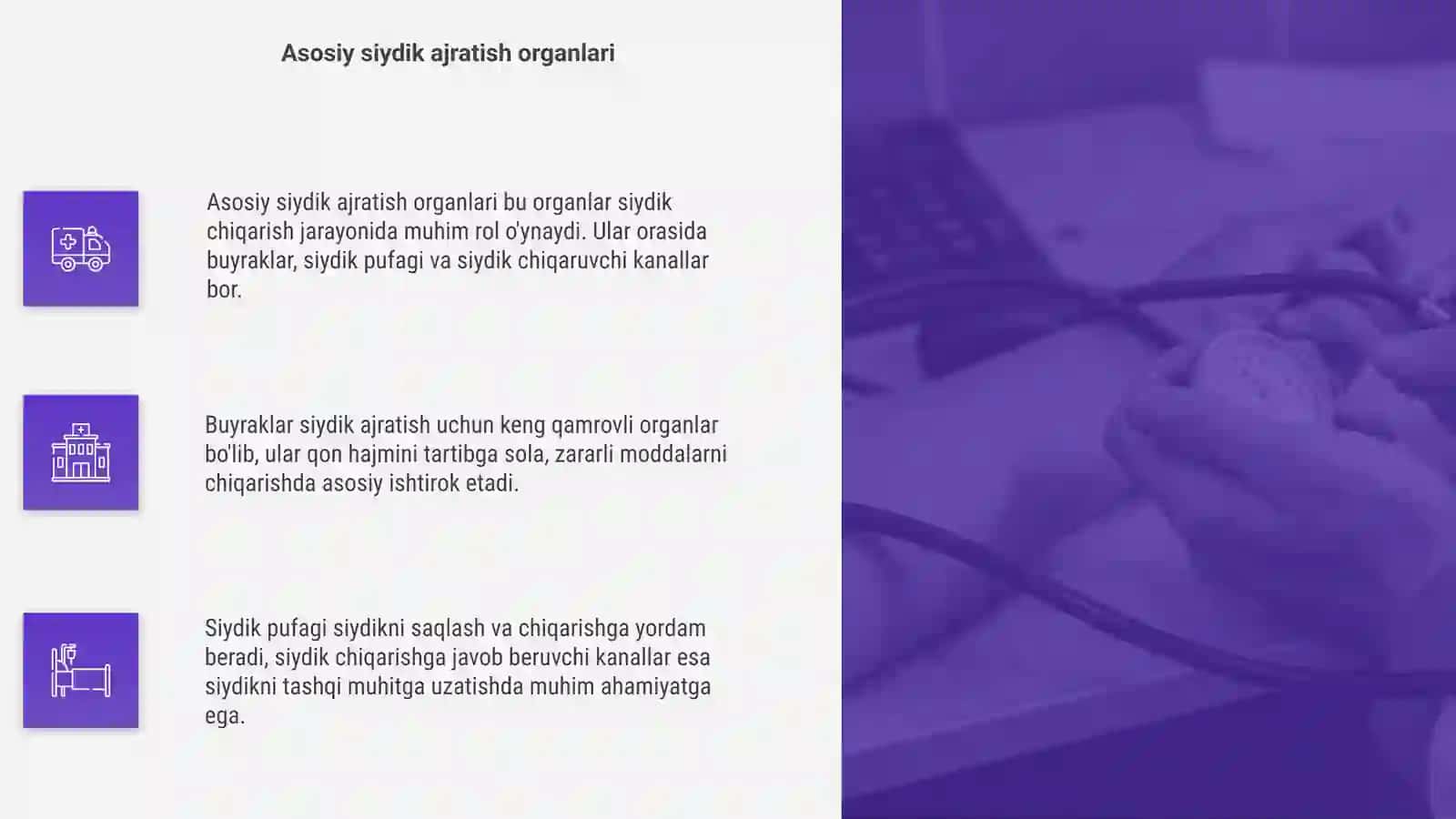 Siydik ajratish aʼzolarining umumiy tasnifi 4