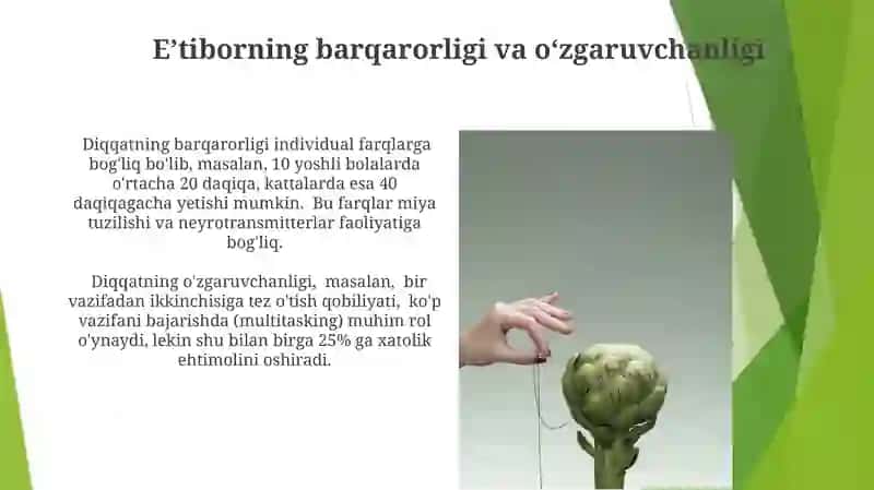 Diqqat haqida tushuncha 4