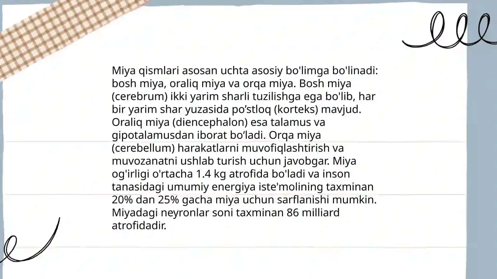 Bosh miyaning anatomiyasi 4