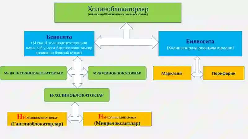М-холиноблокаторлар 4
