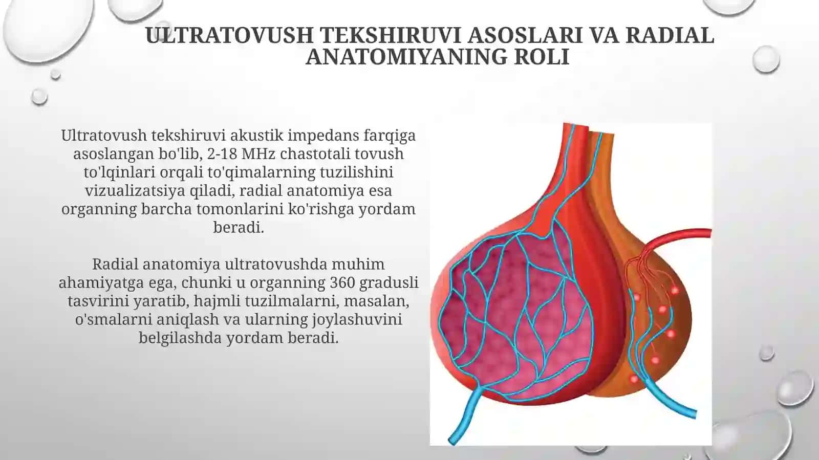 Ultratovush tekshiruvi texnikasi 4
