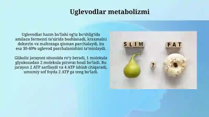 Moddalar almashinuvi metabolizm 4