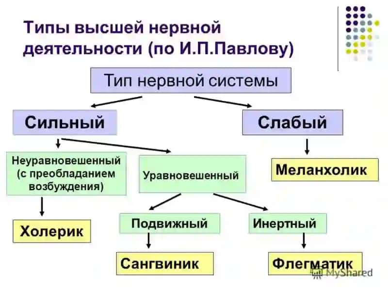 Лекция 12. Темперамент. Характер 4