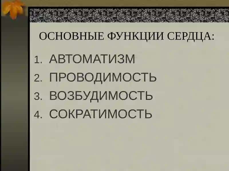 АРИТМИИ 4