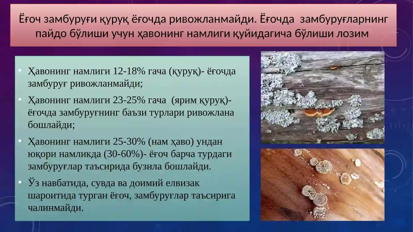 Ёғоч конструкцияларнинг емирилиши 4