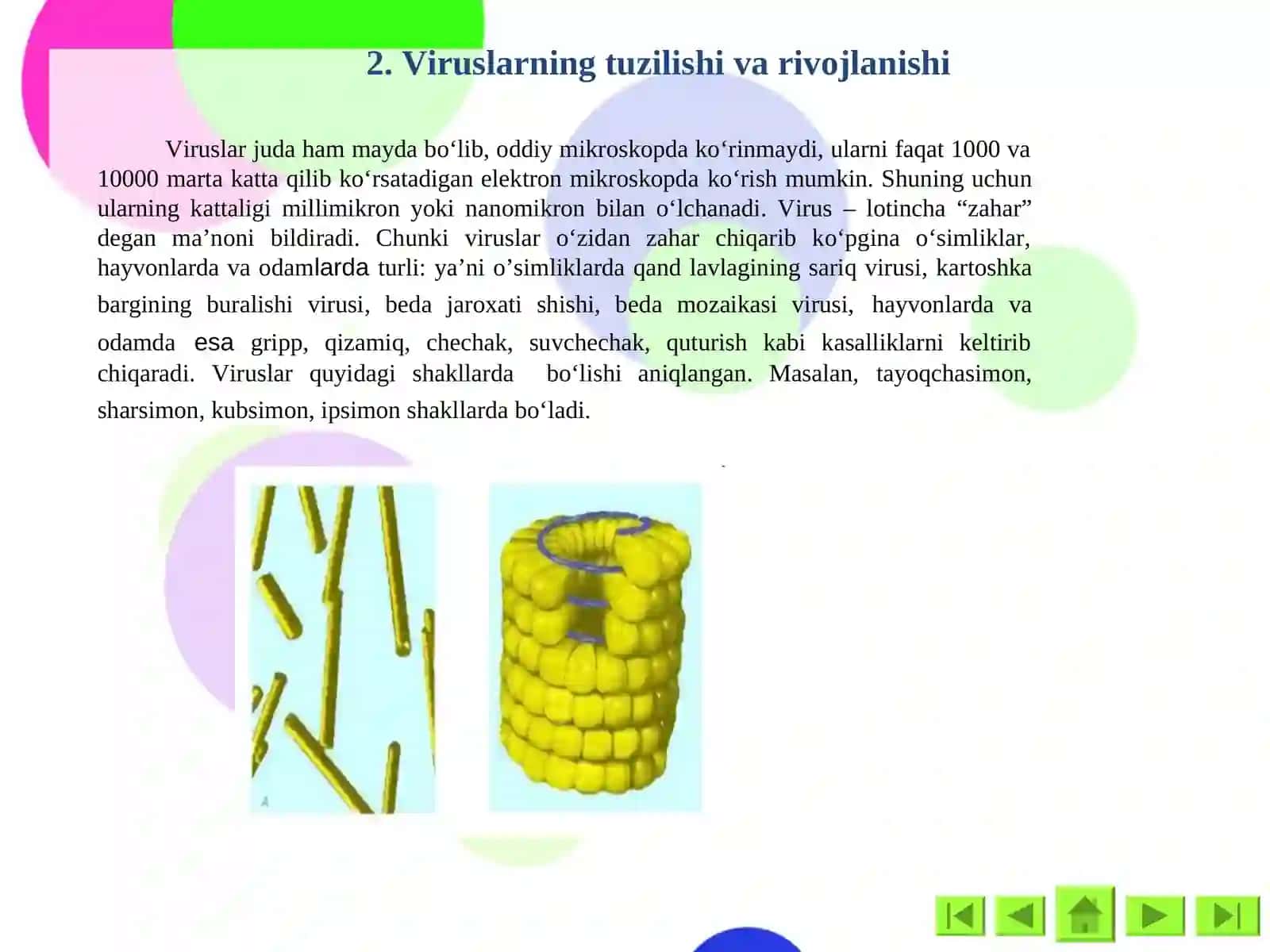 Viruslar va Bakteriofaglar 4
