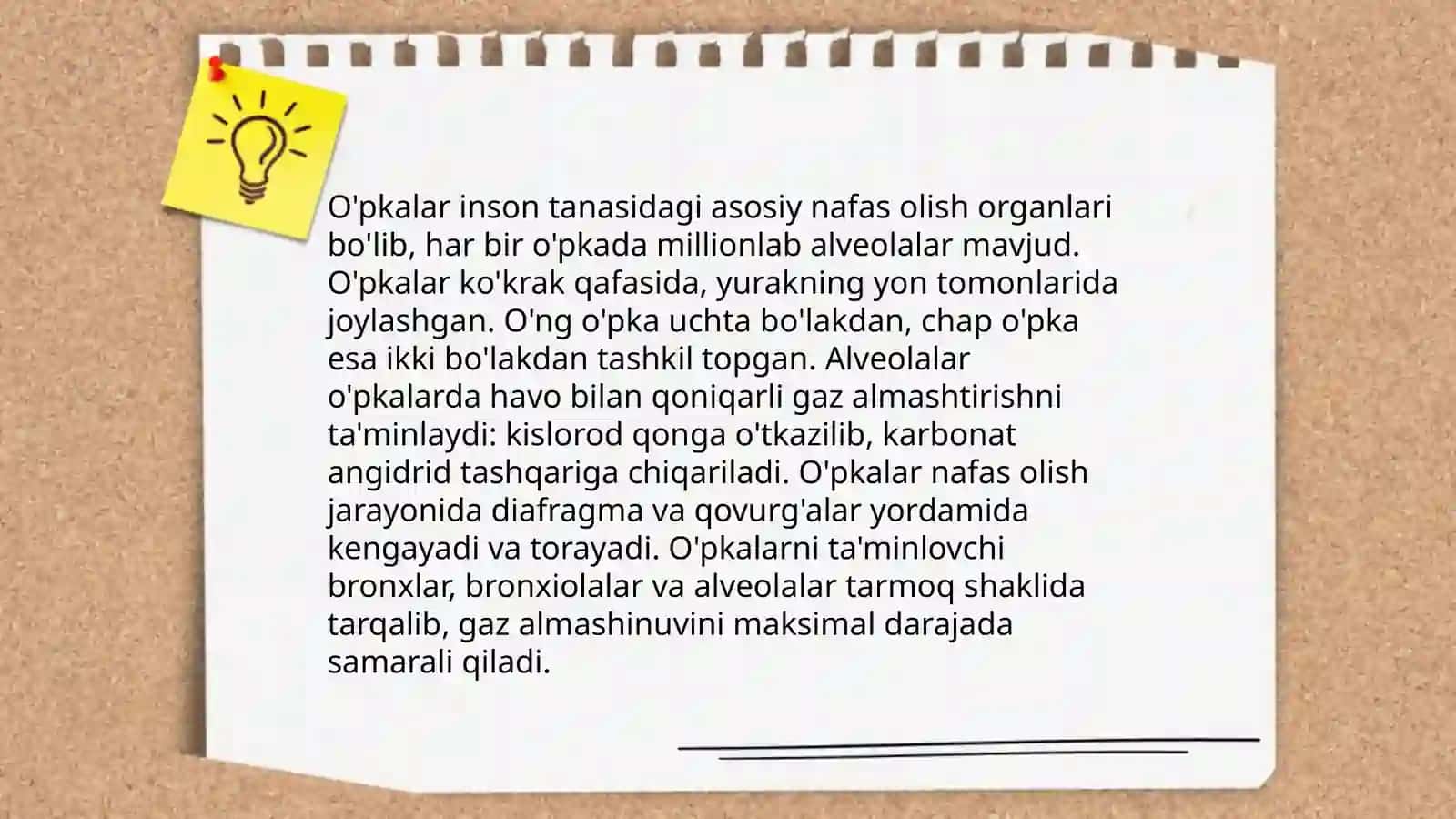 Nafas a'zolari tizimi 4