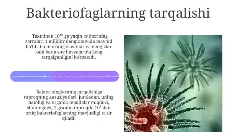 Bakteriofagning hossalari 4