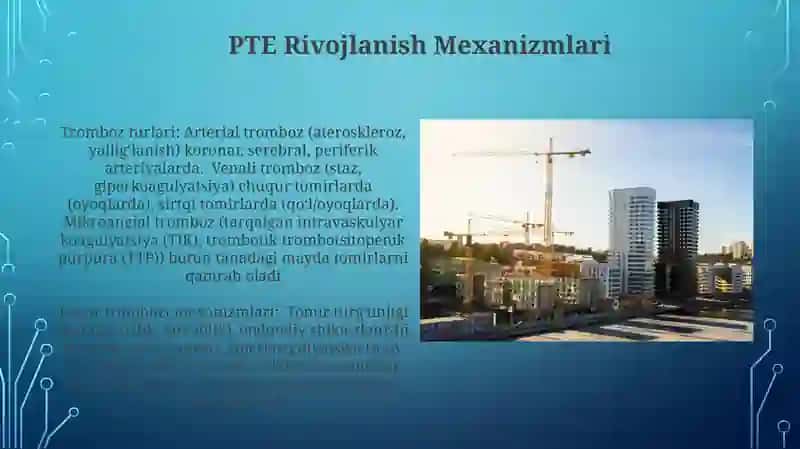 Trombozning turlari va rivojlanishi 4