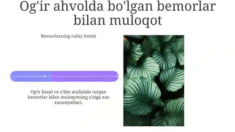 Maslahat turlari 4