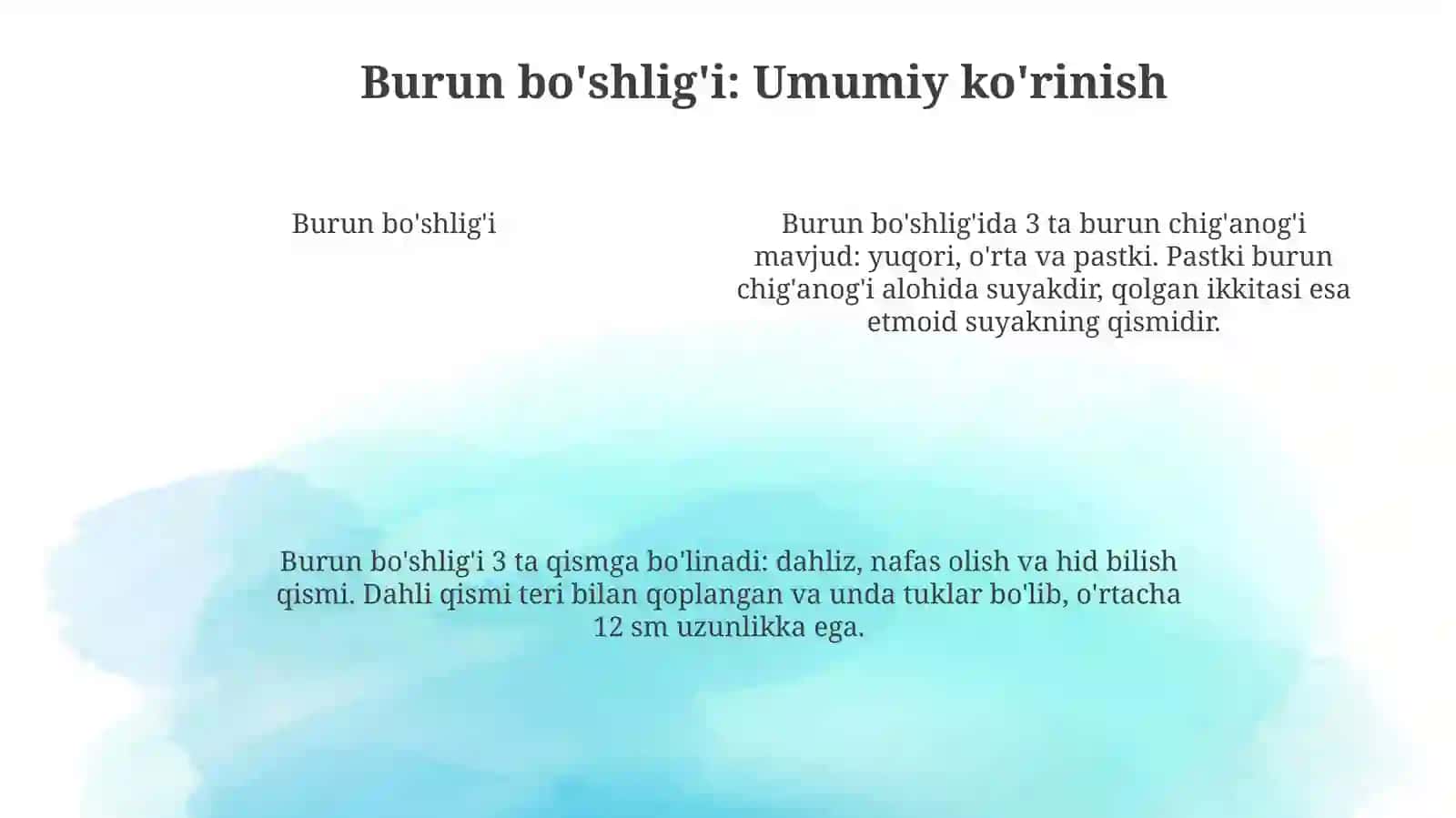 Nafas olish organlarining topografiyasi 4