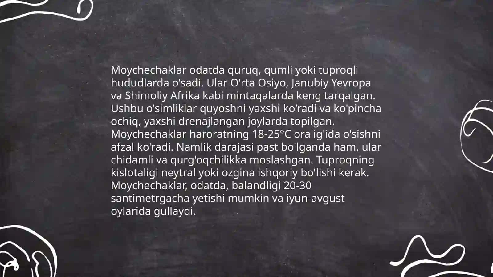 Moychechakning bioekologiyasini oʻrganish 4