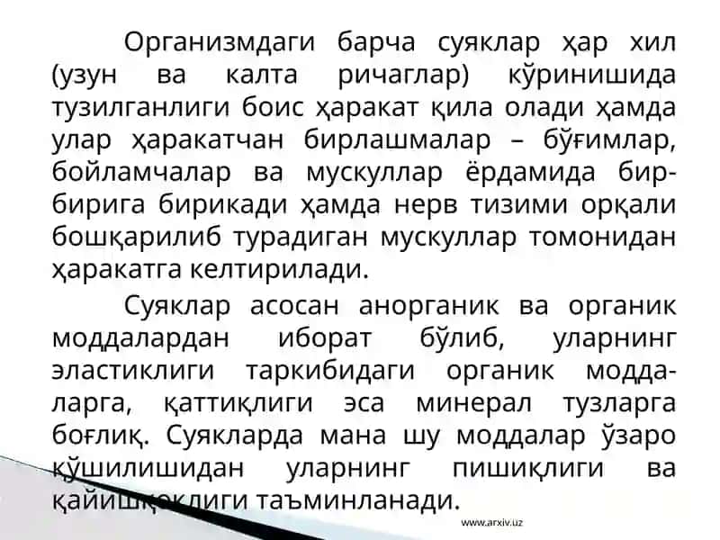 Таянч-ҳаракат тизимининг тузилиши ва аҳамияти 4