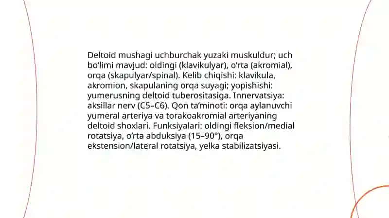 Yelka kamari mushaklari 4