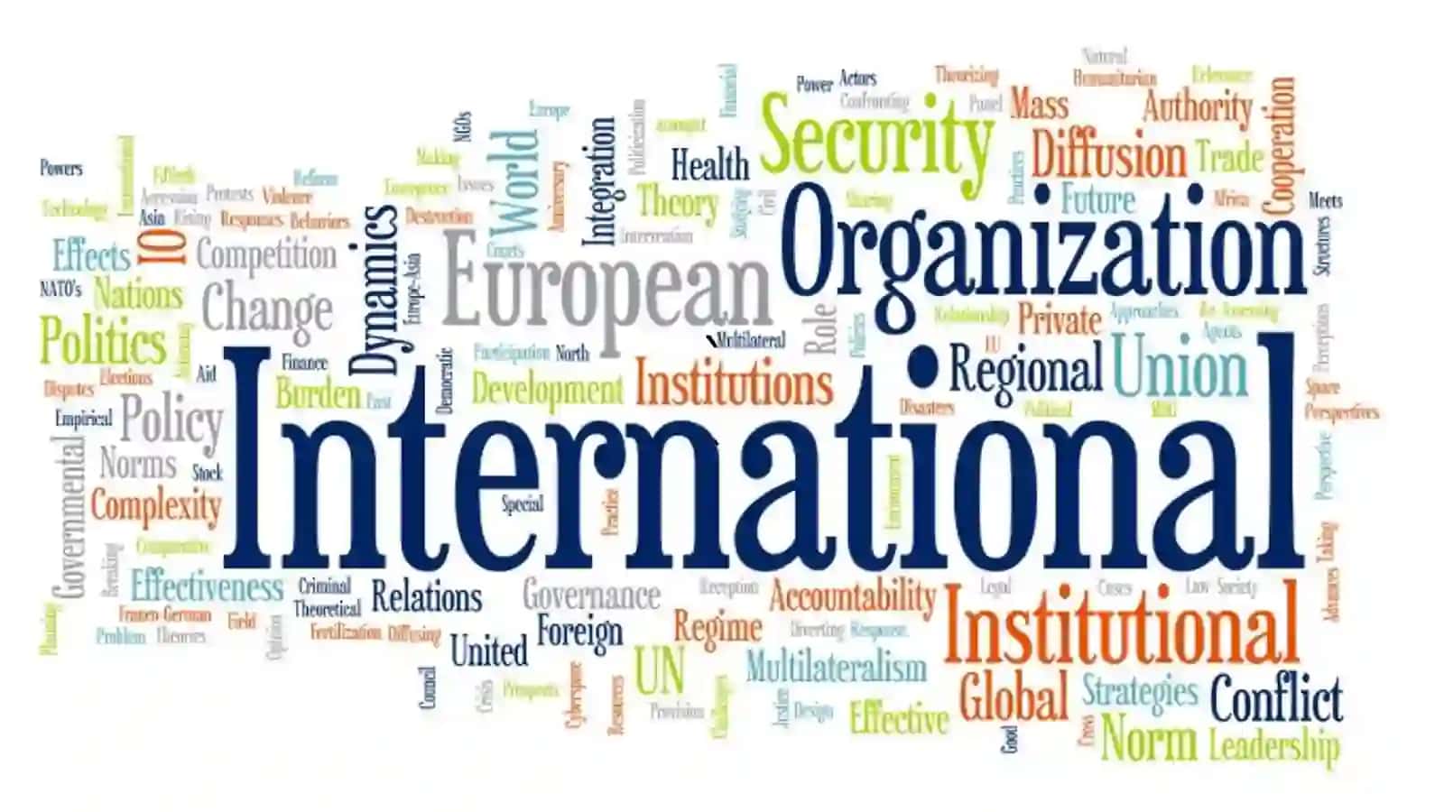 International Organizations and Their Global Roles 4