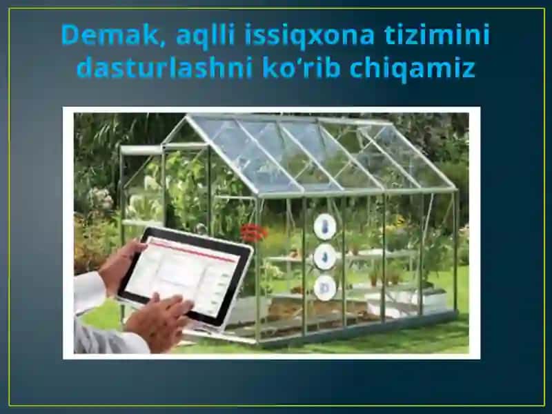 Aqli issiqxonasi 4