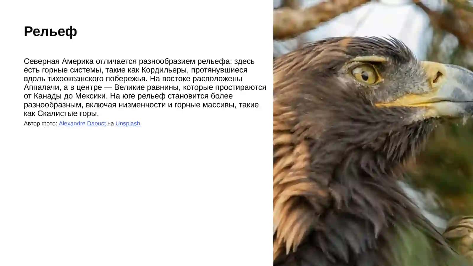 Регионы мира. Северная Америка 4