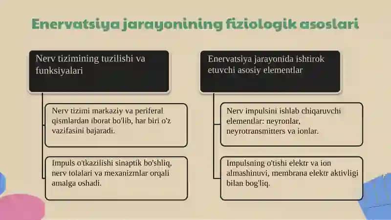 Qo'l va oyoq terini enervatsiyasi 4