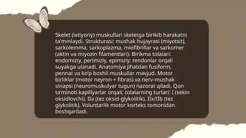 Muskullar sistemasi 4