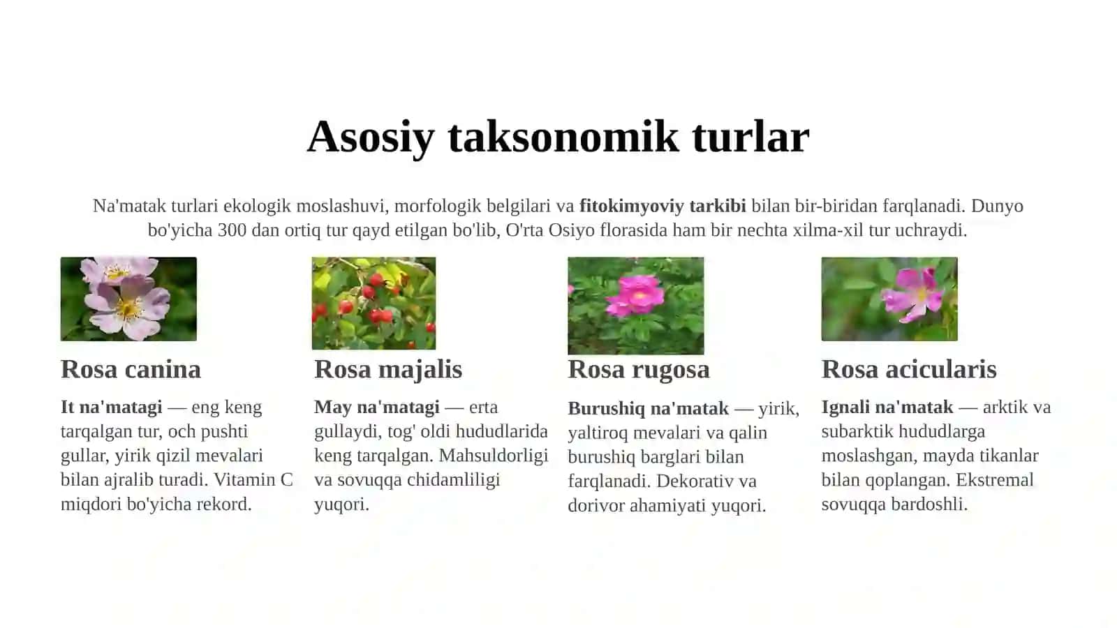 Na'matak 4