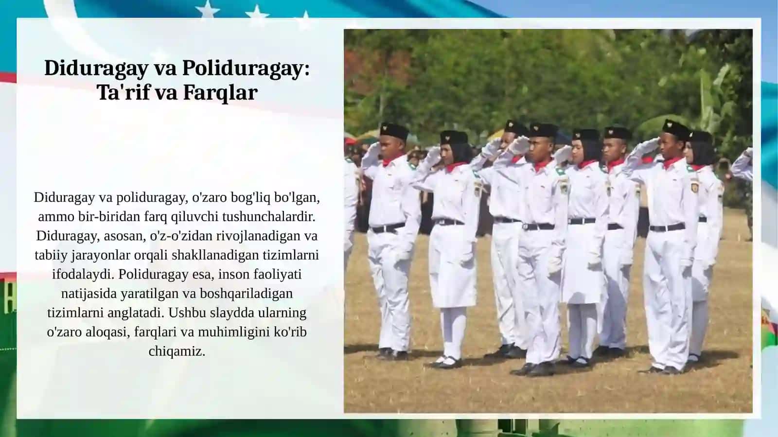 Diduragay va poliduragay chatishtirish 4