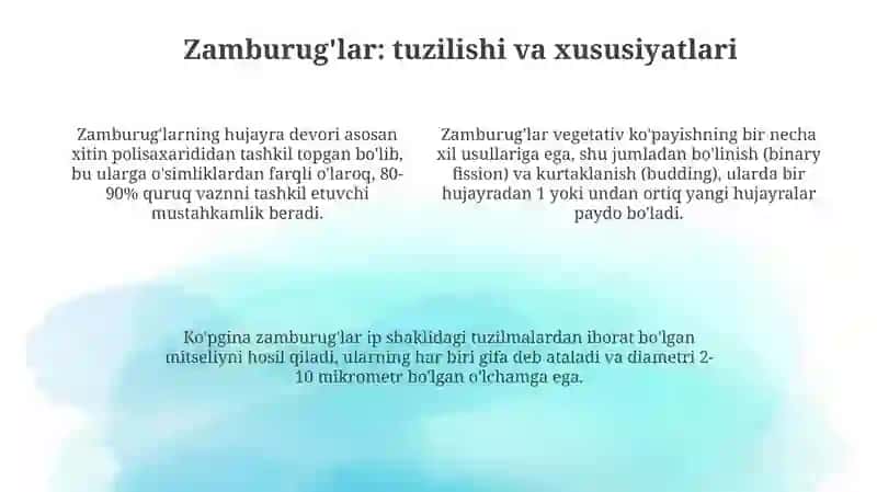 Mikoplazmalar morfologiyasi 4