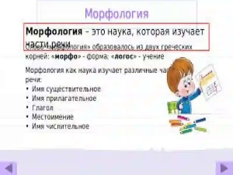 Имя существительное. Морфология 4