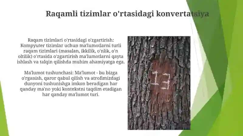 Raqam tizimlari 4