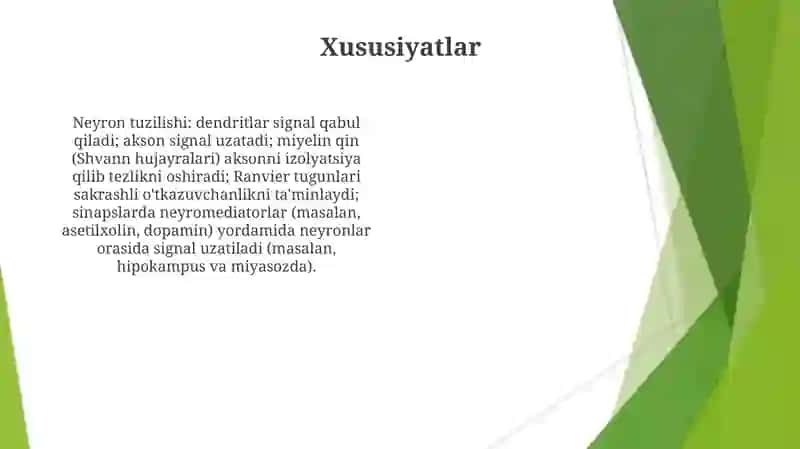 Teri tuzilishi va funksiyasi 4
