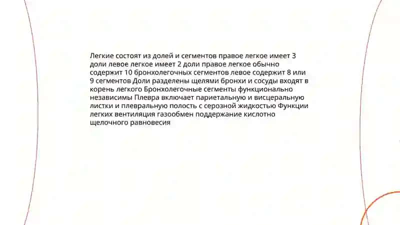 Дыхательная система человека 4