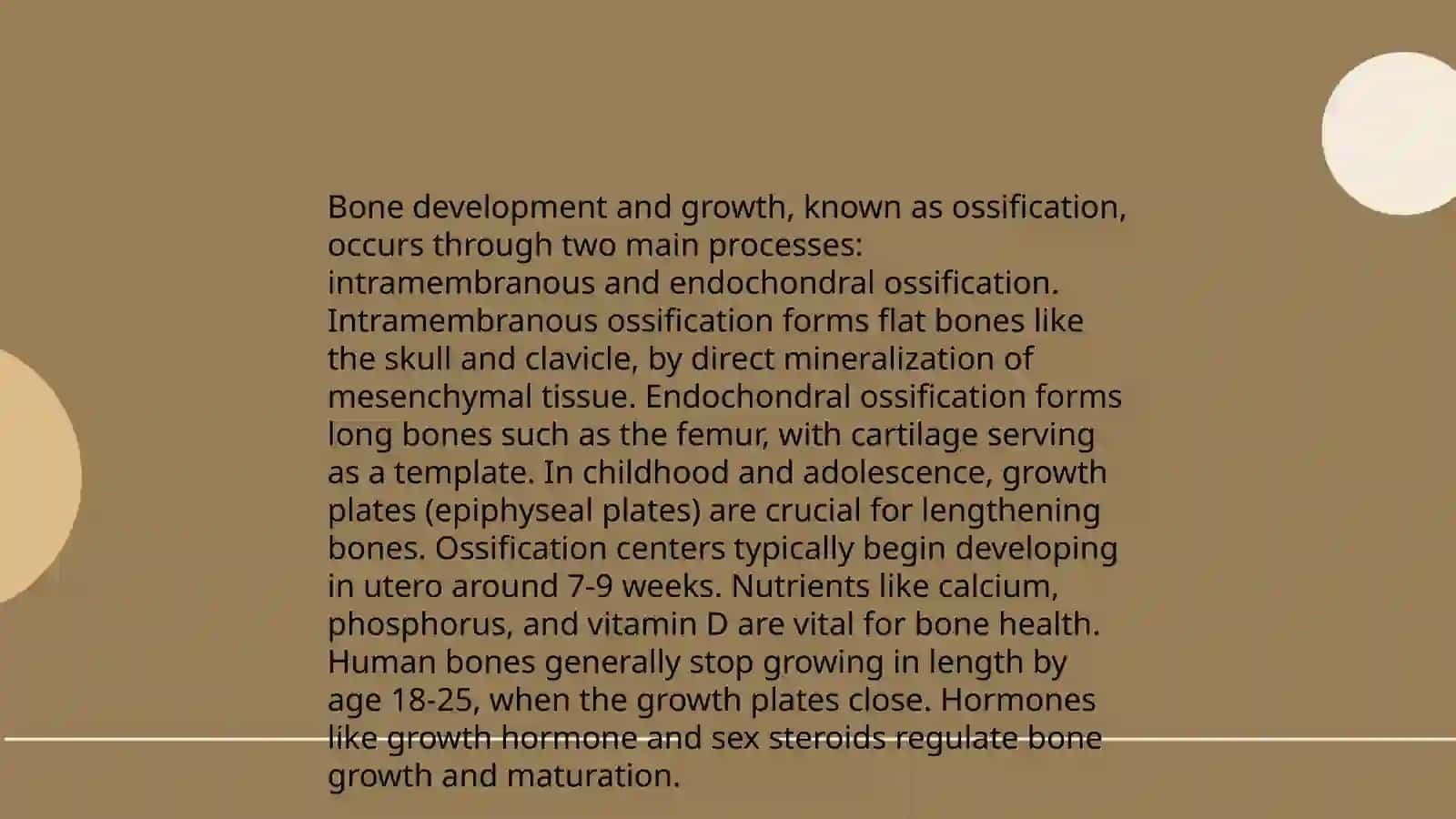 Bones 4