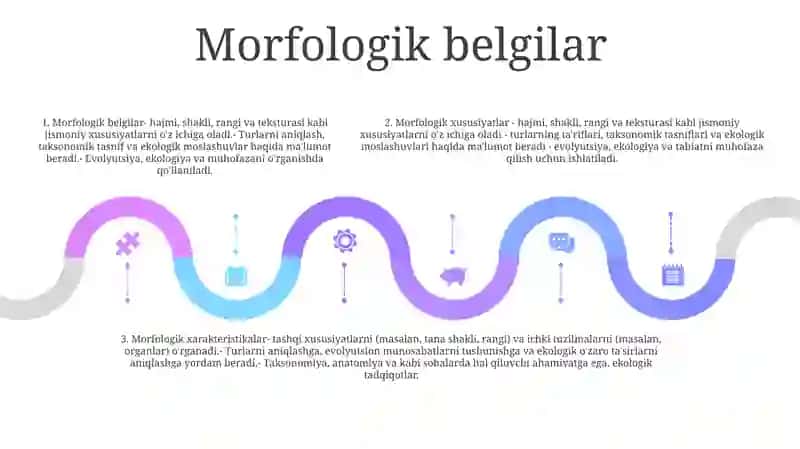 Morfologik Xususiyatlari 4