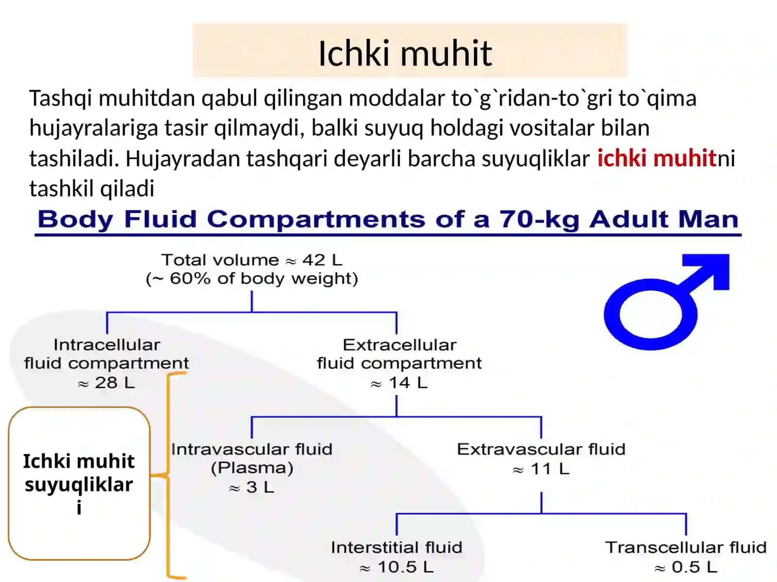 Ichki muhit,Qon sistemasiga kirish 4