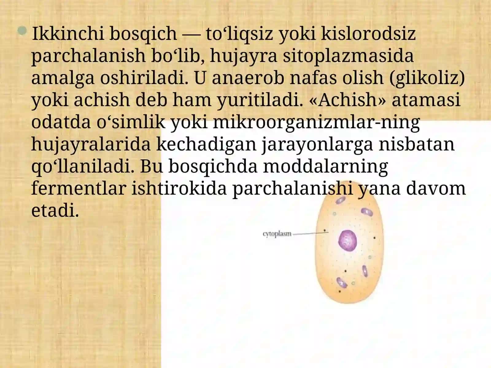 Energiya almashinuvi bosqichlari 4