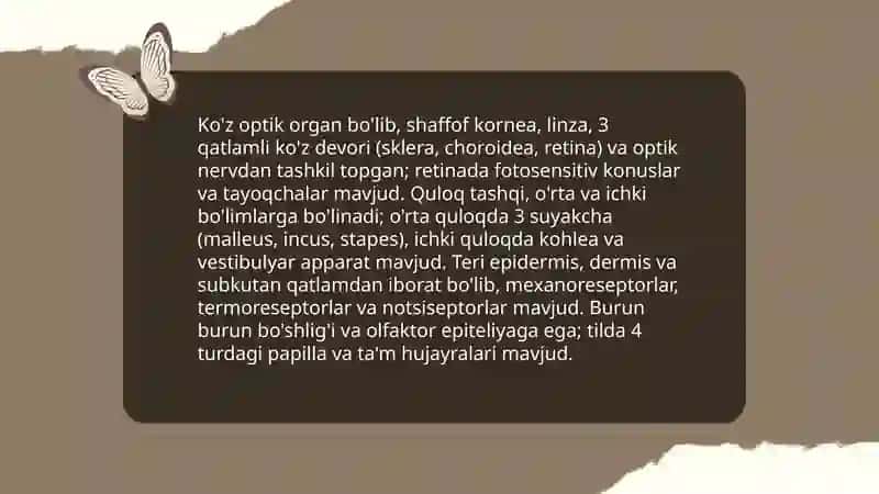 Sezgi va İdrok Jarayonlari 4