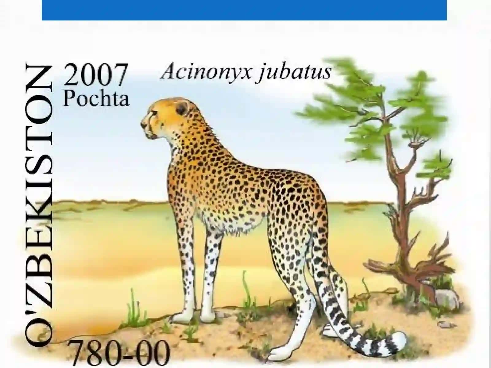 Qizil kitob 4