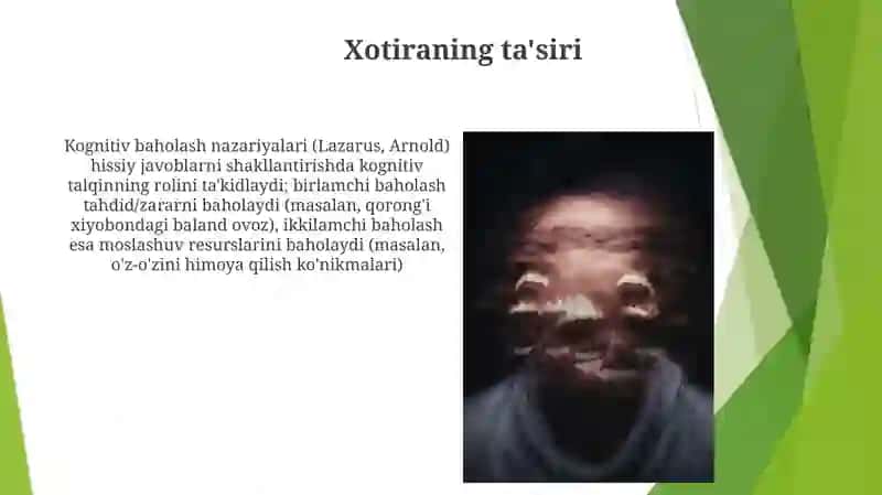 Shaxter-Singer ikki omilli nazariyasi 4
