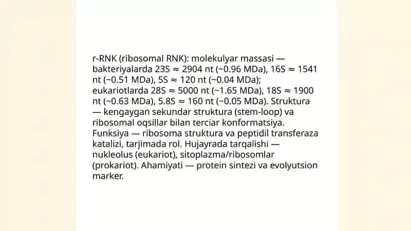 RNK va i-RNK protsessi 4